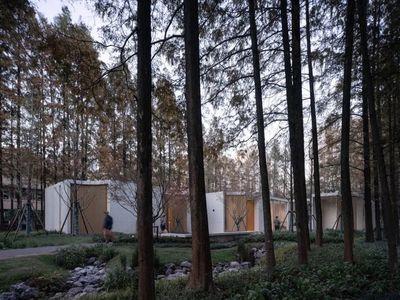 林間(jian)夢田 上(shang)海田林(lin)公園(yuan)的(de)全天(tian)候(hou)都市(shi)生境(jing)建(jian)構